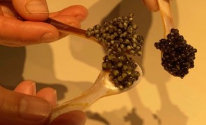 ევროპაში დამზადებული პირველი ორგანული ხიზილალა ახალ ბაზრებს იპყრობს