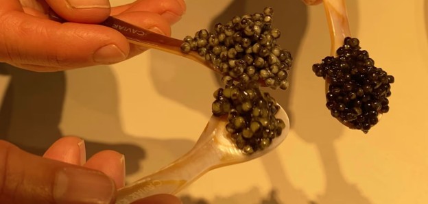 ევროპაში დამზადებული პირველი ორგანული ხიზილალა ახალ ბაზრებს იპყრობს