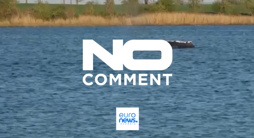 ვისმარი, გერმანია