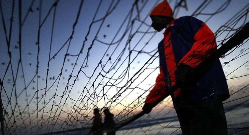 უხილავი საფრთხე, რომელიც ჩვენი ზღვებისა და ოკეანეების ფსკერზე იმალება