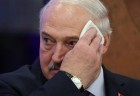 ხისტი განცხადებების გამო, ლუკაშენკამ ზელენსკის ბოდიში მოუხადა