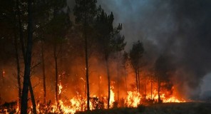 საფრანგეთსა და ესპანეთში ტყის ხანძრების გავრცელების გამო 320 000-ზე მეტი ადამიანია ევაკუირებული