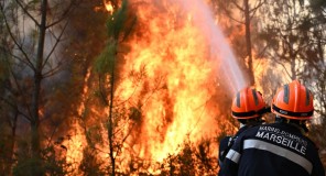 ევროკავშირი ტყის ხანძრებთან საბრძოლველად  საერთაშორისო საგანგებო დახმარებას უწევს კოორდინაციას