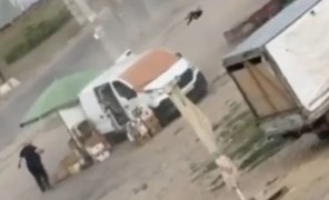 ვრცელდება კადრები, რომელშიც რუსული დრონი ბოსტნეულის გამყიდველს ესხმის თავს