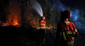 ტყის ხანძრებთან საბრძოლველად 2000-ზე მეტი მეხანძრეა მობილიზებული