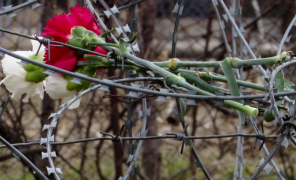 ოკუპაციის სიმბოლო წავიდა