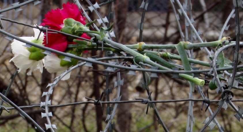 ოკუპაციის სიმბოლო წავიდა