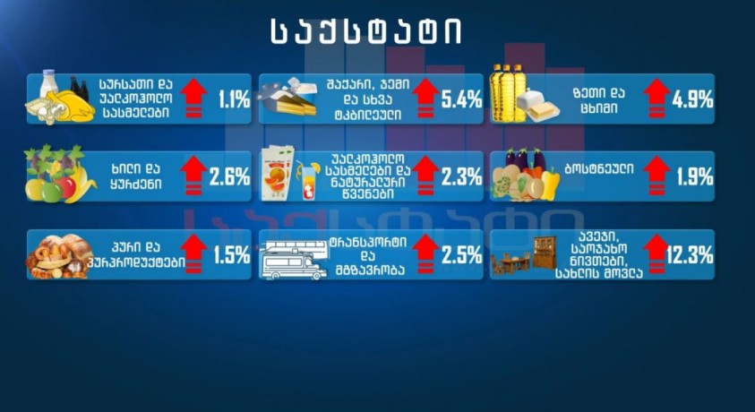 საქართველოს ეკონომიკის ბედი