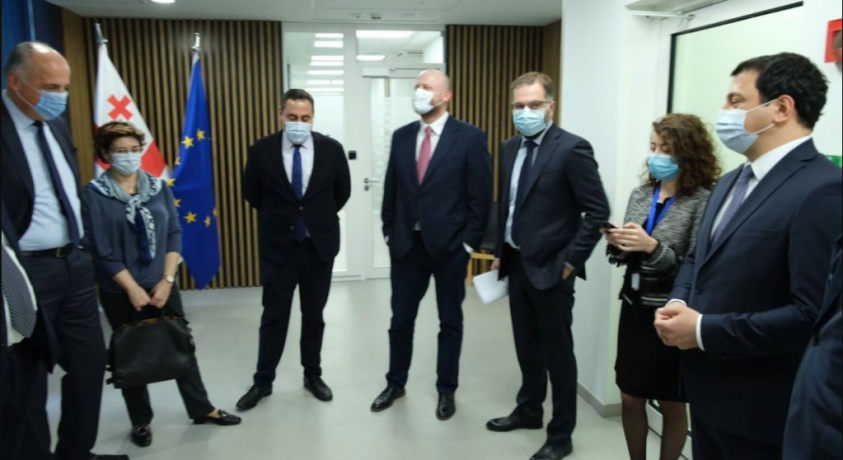 სენატის განცხადებების პოლიტიკური შეფასებები