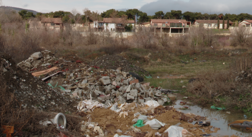 დიღმის ჭალების ტყის 75 პროცენტი განადგურებულია