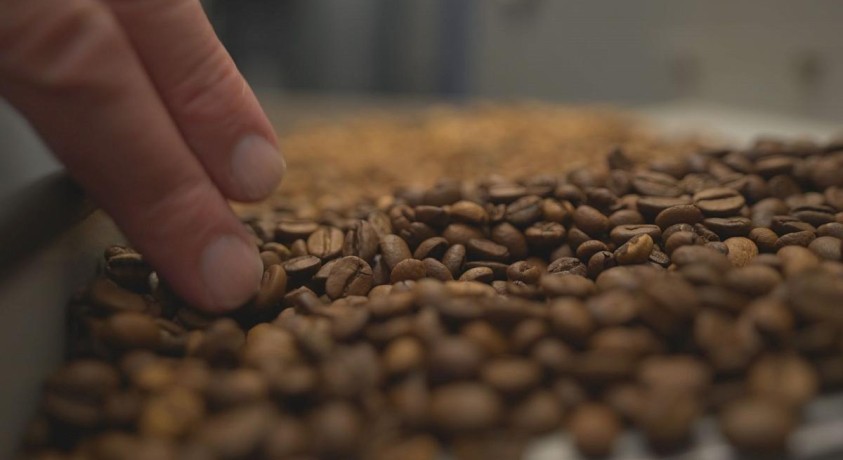 ბიზნესის ახალი ტენდენციები