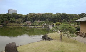 ტოკიოს მწვანე ოაზისი