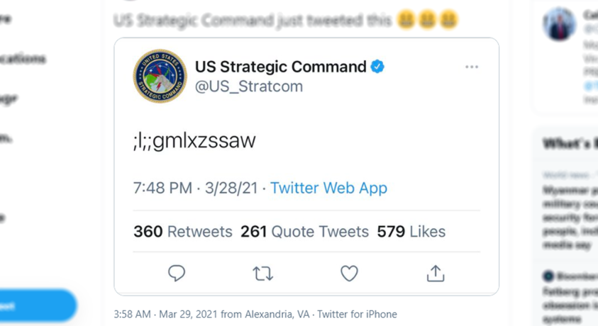 ბავშვმა სტრატეგიული სარდლობის ანგარიშზე ტვიტი გამოაქვეყნა