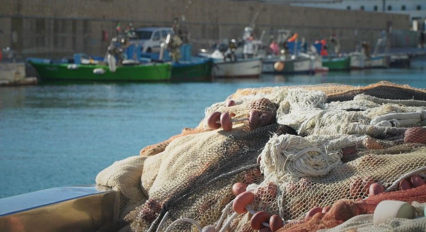 პროექტი „ადრინეტი“