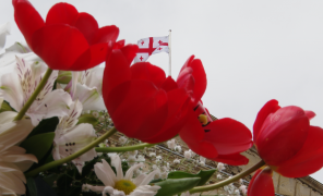 გზა თავისუფლებისკენ