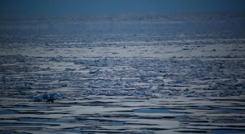 ევროკავშირში არქტიკის ახალ სტრატეგიას შეიმუშავებენ