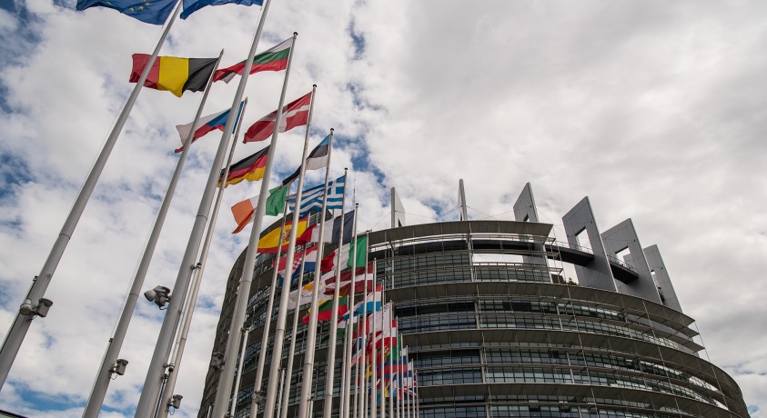 საქართველოს პარლამენტის  დელეგაცია ევროპის საბჭოს საპარალამენტო ასამბლეაში მონაწილეობს