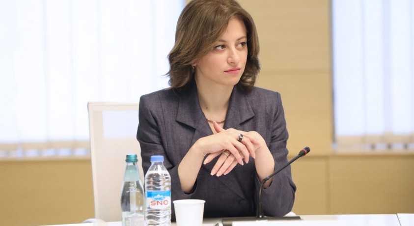 პარლამენტში ჯანდაცვის მინისტრს ეკატერინე ტიკარაძეს მოუსმენენ