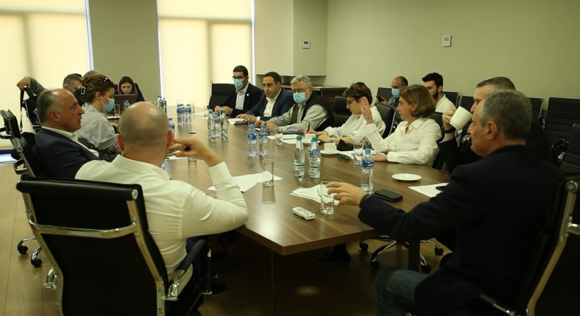 ამნისტიის ორი კანონპროექტი