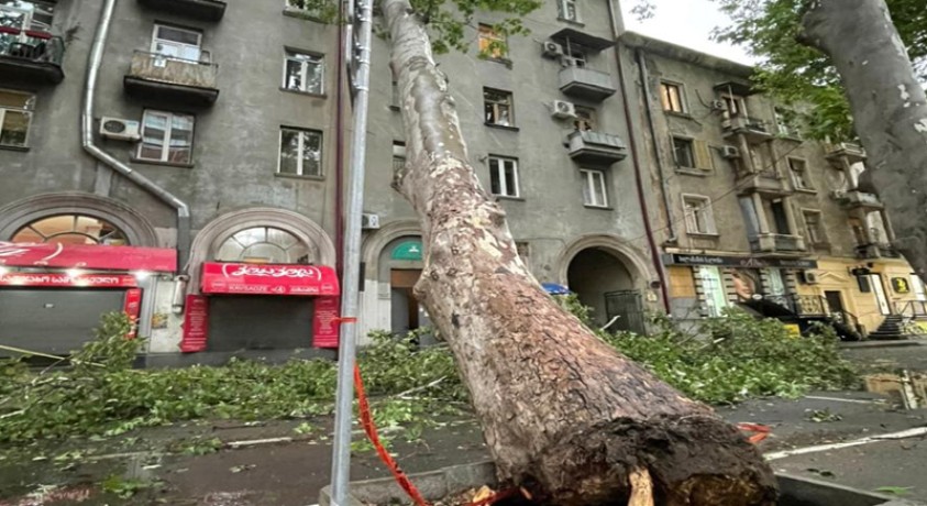 ლადო კავსაძის ქუჩაზე ხე საცხოვრებელ სახლს დაეცა