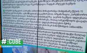 სახალხო დამცველი ნინოწმინდის პანსიონში კვლავ არ შეუშვეს