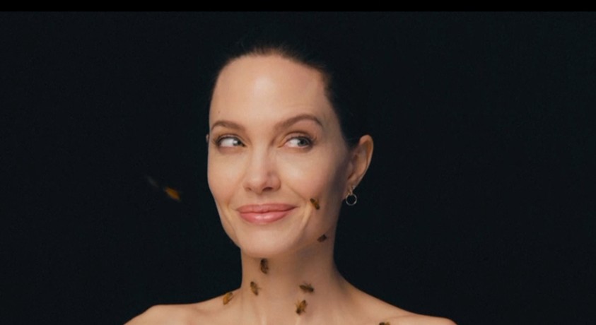 ფუტკრების საერთაშორისო დღე