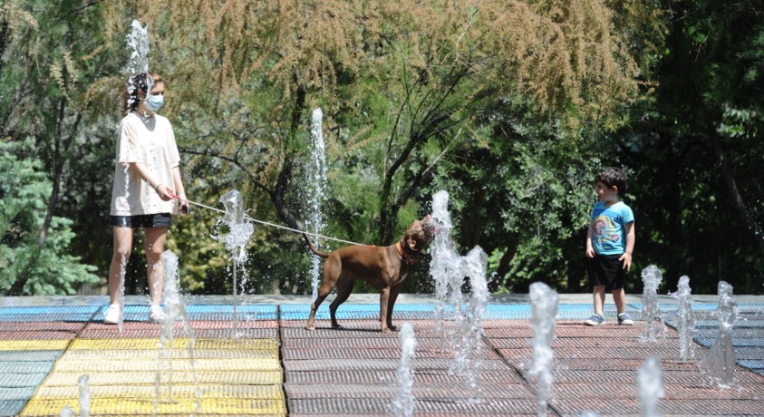 შეზღუდვების შემსუბუქება გრძელდება