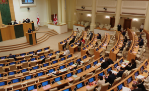 ამნისტიის შესახებ კანონპროექტის განხილვა 27 მაისამდე გადაიდო