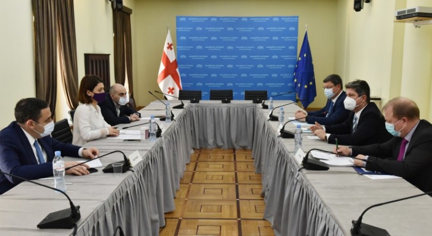 შეხვედრა ევროპელ მონიტორებთან