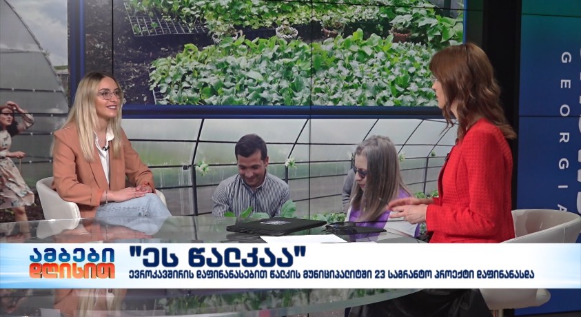 მარი კიკვაძე – კომუნიკაციის მენეჯერი