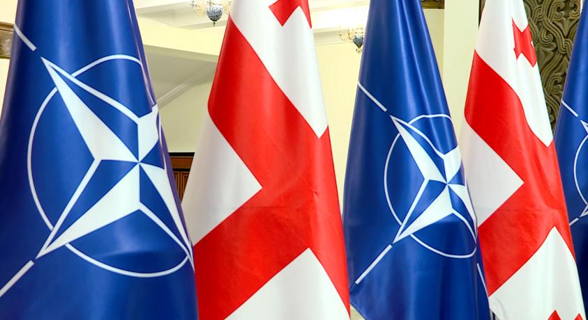 მზადება NATO-ს სამიტისთვის