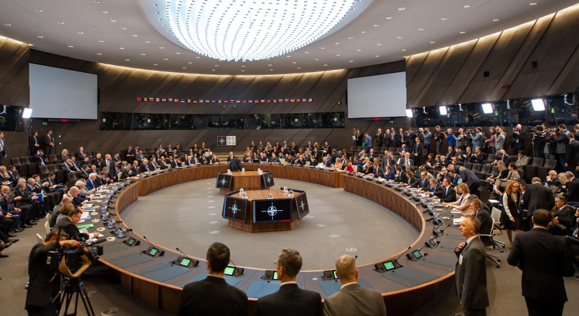 საქართველოს გზა NATO-ს წევრობისკენ