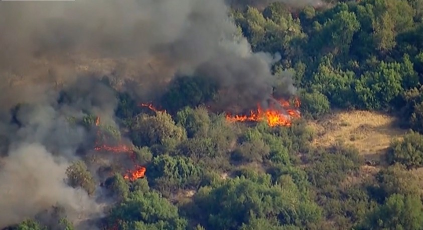 კალიფორნია, აშშ