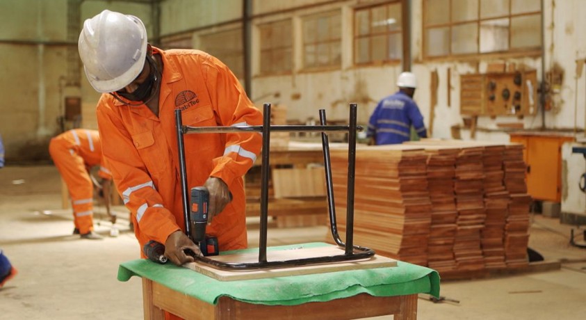 ევკალიპტის ავეჯი