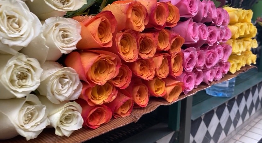 თბილისი, საქართველო