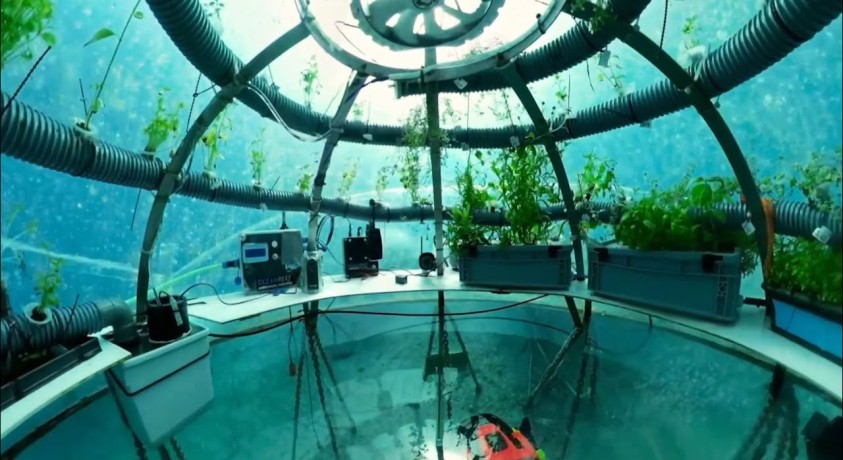 იტალიის სანაპიროსთან წყალქვეშა სათბურები აშენდა