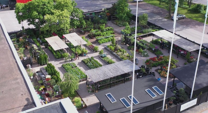 პანდემია და ევროპული მცირე ბიზნესი