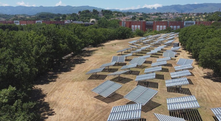 კალაბრიის მწვანე უნივერსიტეტი