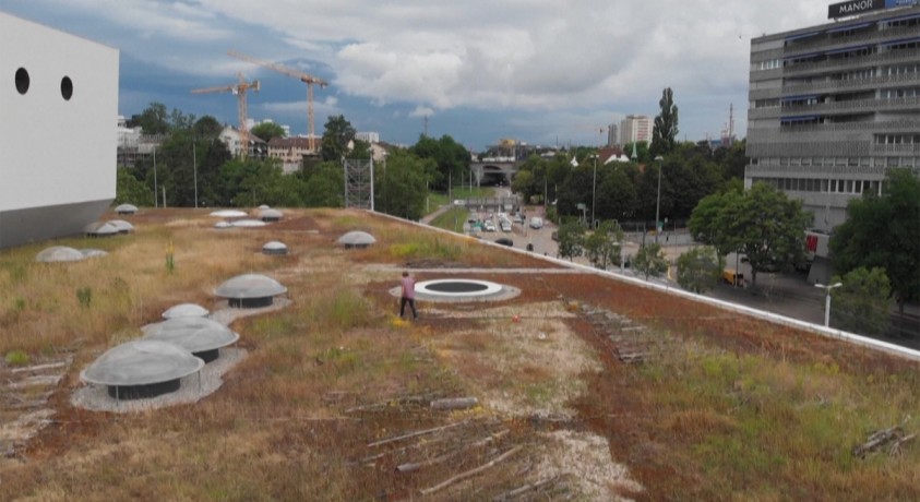 შევეიცარიაში 4000-ზე მეტი გამწვანებული სახურავია მოწყობილი