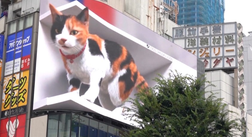 ტოკიო, იაპონია