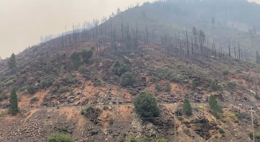 “დიქსის” ხანძარმა ნიუ-იორკზე დიდი, 850 კვადრატული კილომეტრის ფართობი გაანადგურა