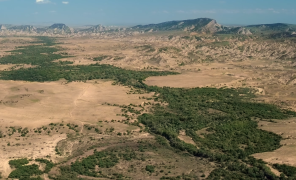 „უდაბნოს პირისპირ“ – ახალი დოკუმენტური ფილმი ჭაჭუნის აღკვეთილის შესახებ