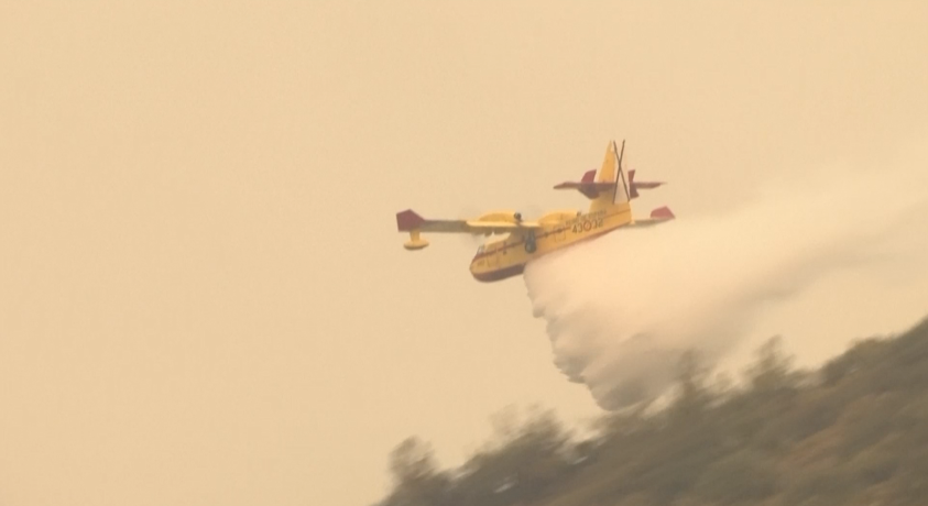 თურქეთი მეცხრე დღეა ტყის ხანძრებს ებრძვის