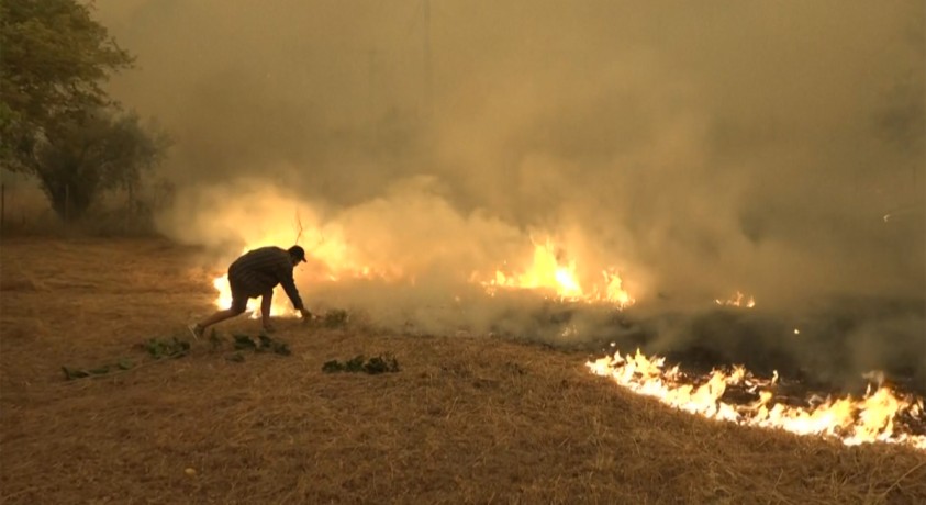 დედამიწაზე ტემპერატურა იმაზე სწრაფად იმატებს, ვიდრე ამას მეცნიერები ვარაუდობდნენ