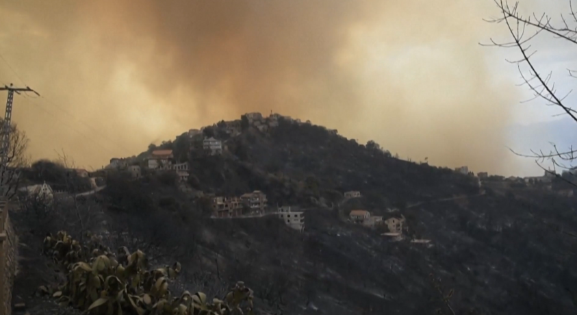 ალჟირში ტყის ხანძარს 42 ადამიანი ემსხვერპლა