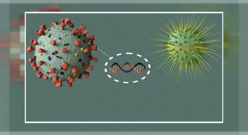 საქართველოში კორონავირუსის 5 128 ახალი შემთხვევა გამოვლინდა, გარდაიცვალა 49 ადამიანი