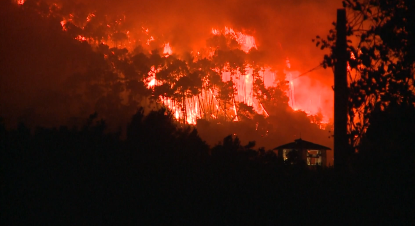 ტყის ხანძრები მსოფლიოში