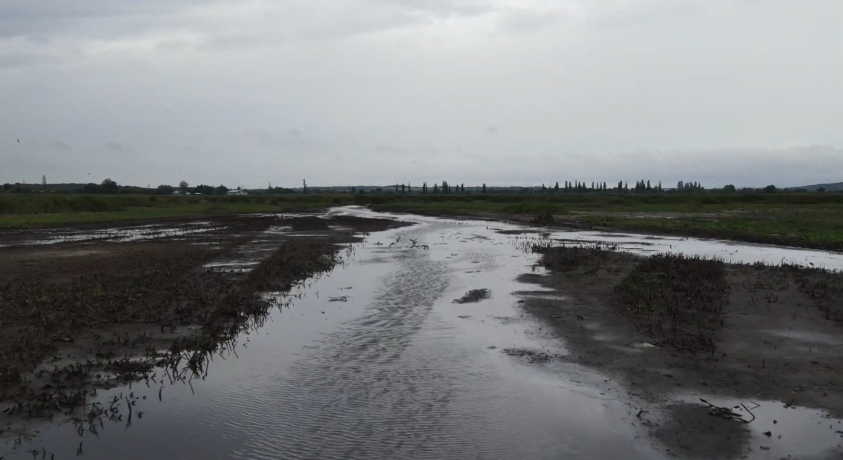 ბოლო ორი წელია ველენსის ტბის წყლის დონე ნორმაზე 2-ჯერ დაბალია