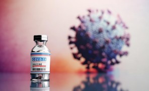 ჯერჯერობით უცნობია, როდის განახლდება სწავლა საკლასო ოთახებში