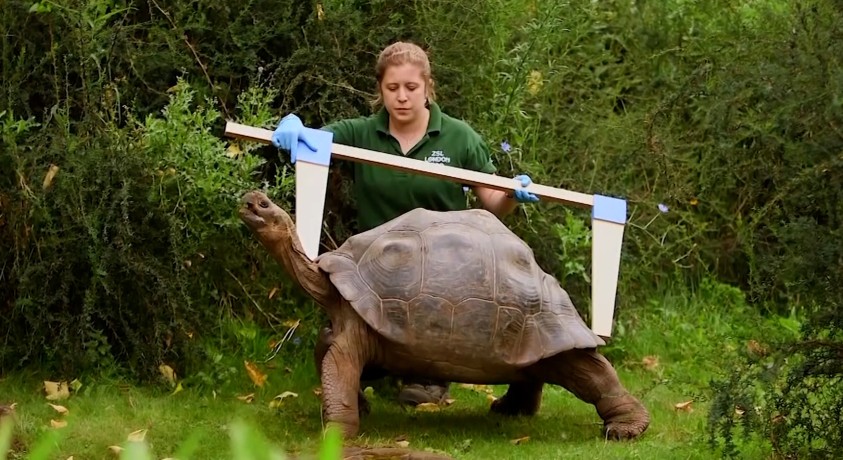 ლონდონი, დიდი ბრიტანეთი